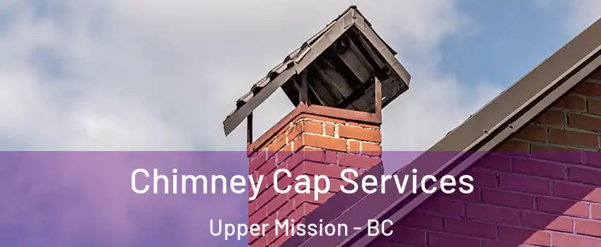  Chimney Cap Services Upper Mission - BC