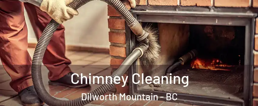  Chimney Cleaning Dilworth Mountain - BC