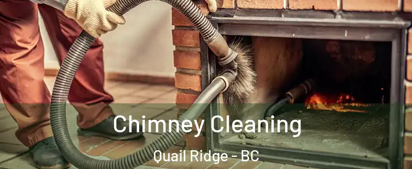  Chimney Cleaning Quail Ridge - BC