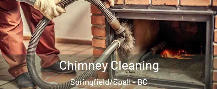  Chimney Cleaning Springfield/Spall - BC