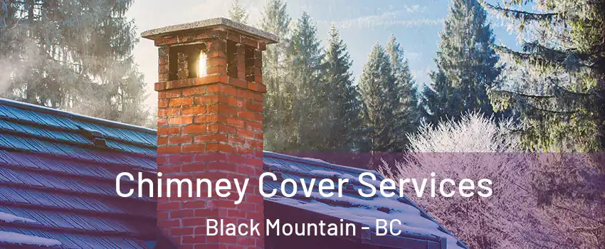  Chimney Cover Services Black Mountain - BC