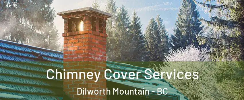  Chimney Cover Services Dilworth Mountain - BC