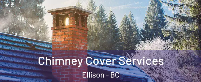  Chimney Cover Services Ellison - BC