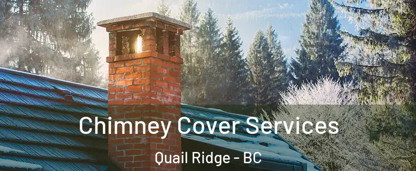  Chimney Cover Services Quail Ridge - BC