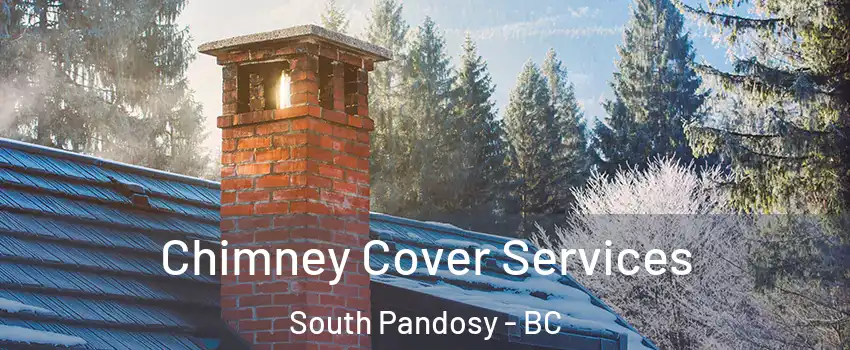  Chimney Cover Services South Pandosy - BC