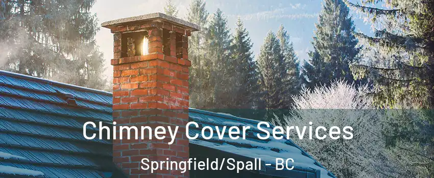  Chimney Cover Services Springfield/Spall - BC