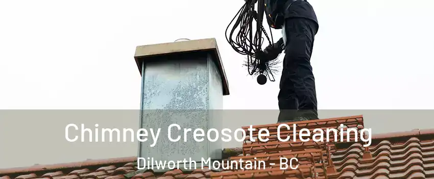  Chimney Creosote Cleaning Dilworth Mountain - BC