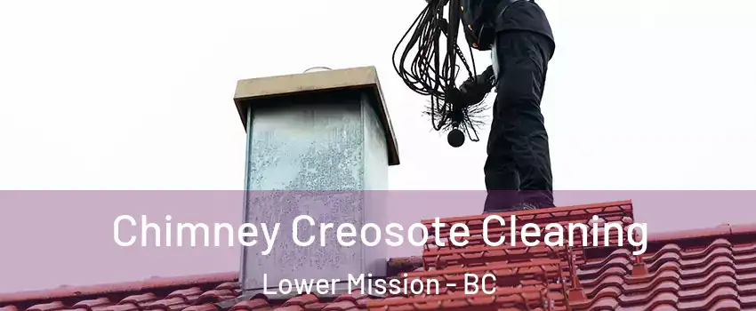  Chimney Creosote Cleaning Lower Mission - BC