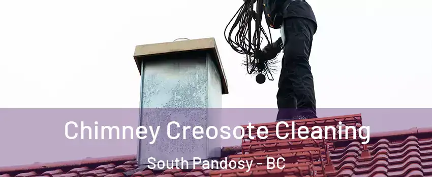  Chimney Creosote Cleaning South Pandosy - BC