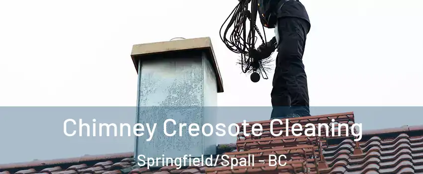  Chimney Creosote Cleaning Springfield/Spall - BC