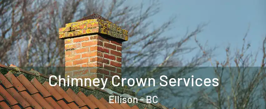  Chimney Crown Services Ellison - BC
