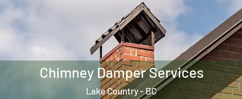  Chimney Damper Services Lake Country - BC