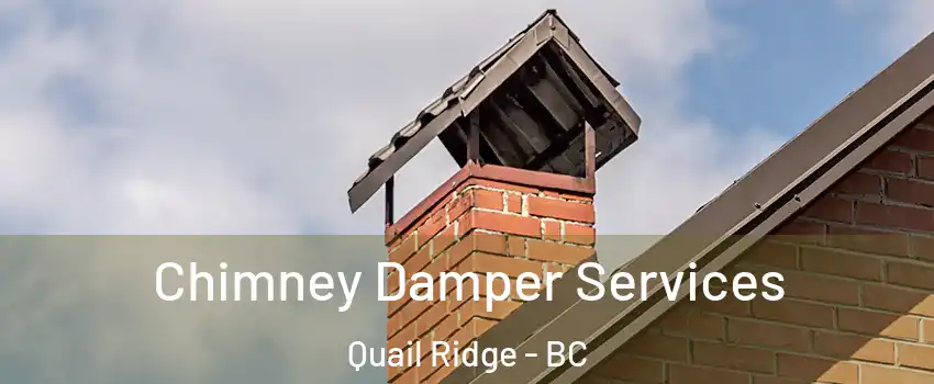  Chimney Damper Services Quail Ridge - BC