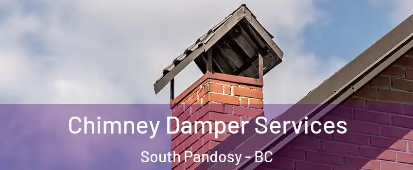  Chimney Damper Services South Pandosy - BC