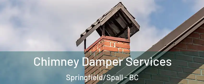  Chimney Damper Services Springfield/Spall - BC