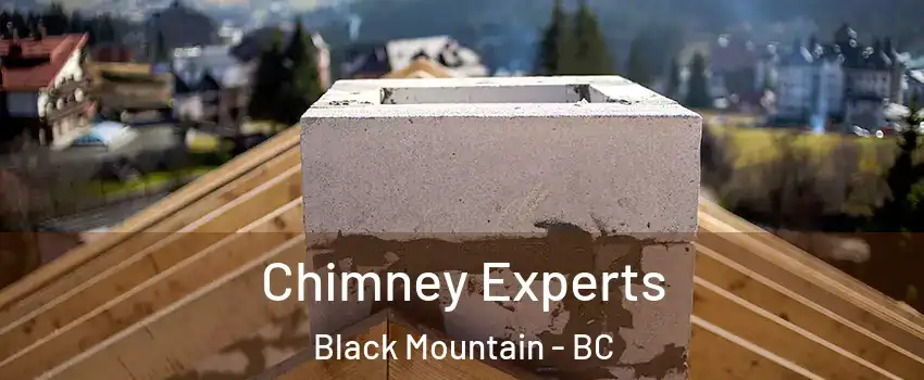 Chimney Experts Black Mountain - BC