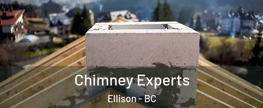 Chimney Experts Ellison - BC
