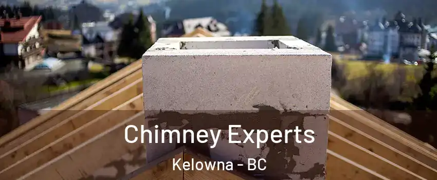 Chimney Experts Kelowna - BC