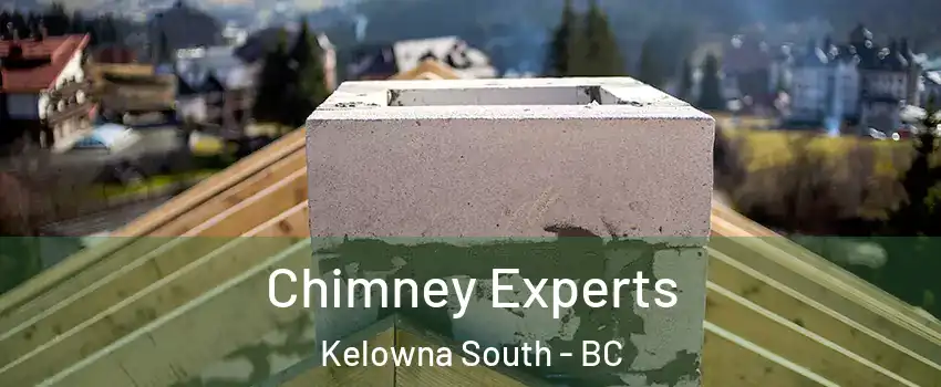 Chimney Experts Kelowna South - BC