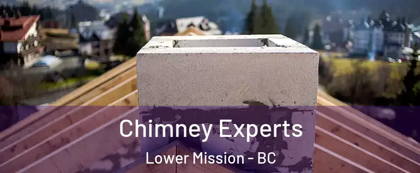 Chimney Experts Lower Mission - BC