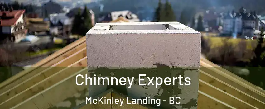 Chimney Experts McKinley Landing - BC