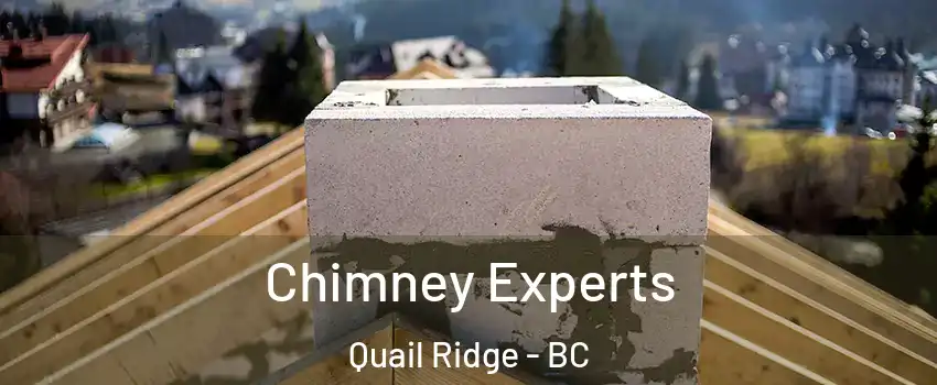 Chimney Experts Quail Ridge - BC