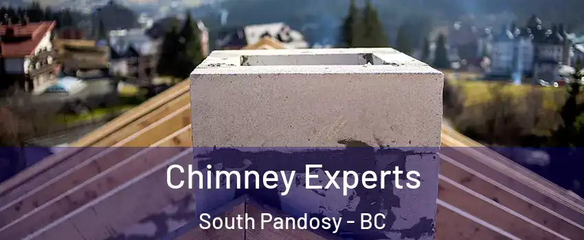 Chimney Experts South Pandosy - BC