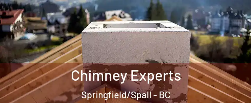 Chimney Experts Springfield/Spall - BC