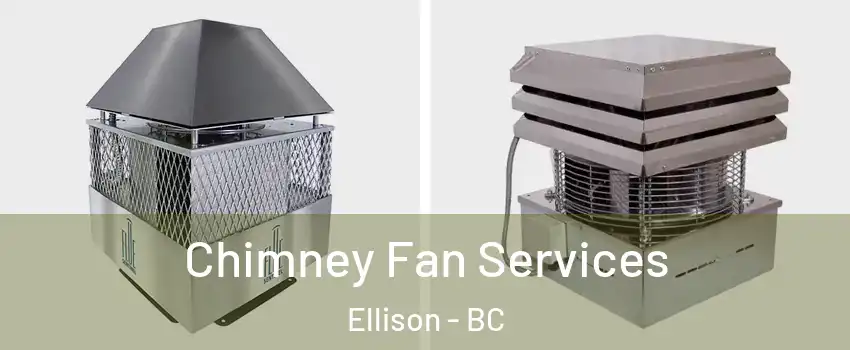  Chimney Fan Services Ellison - BC