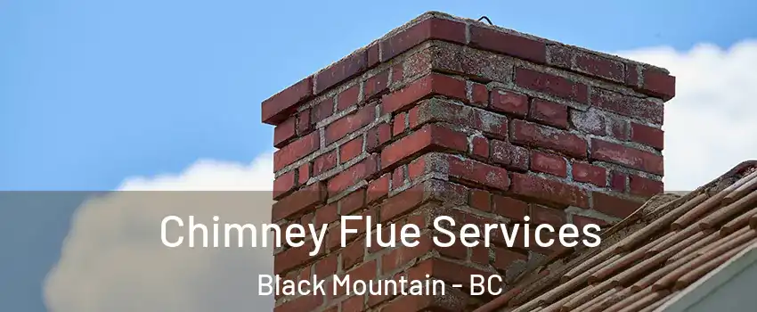  Chimney Flue Services Black Mountain - BC