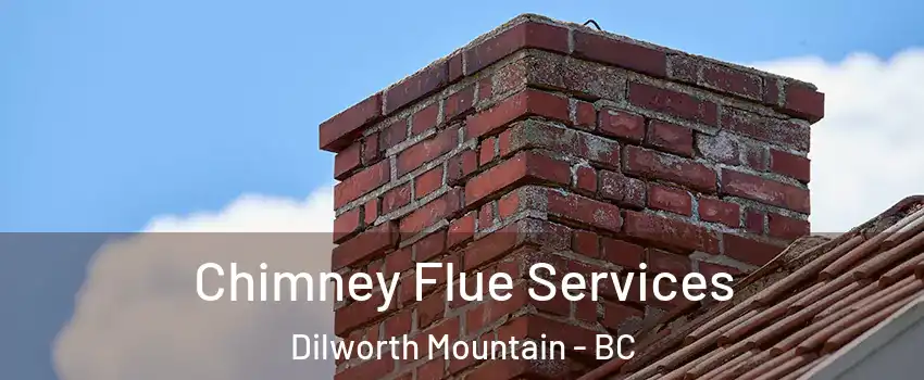  Chimney Flue Services Dilworth Mountain - BC