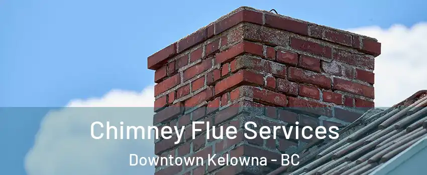  Chimney Flue Services Downtown Kelowna - BC