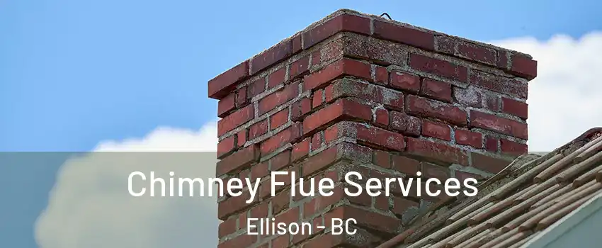  Chimney Flue Services Ellison - BC