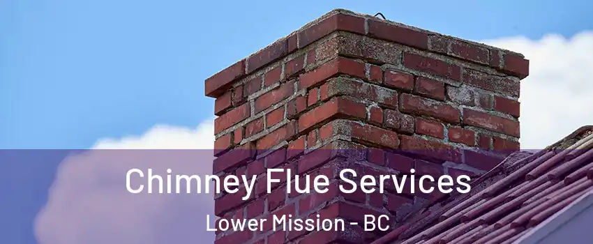  Chimney Flue Services Lower Mission - BC