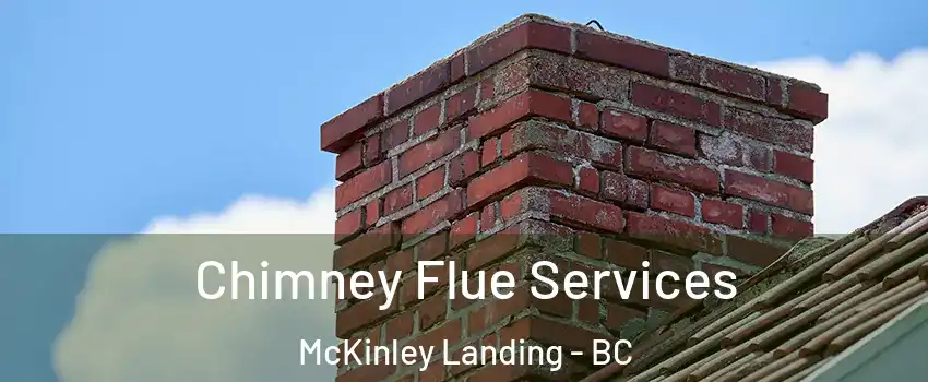  Chimney Flue Services McKinley Landing - BC