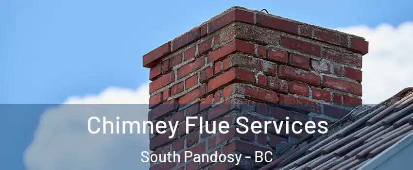  Chimney Flue Services South Pandosy - BC