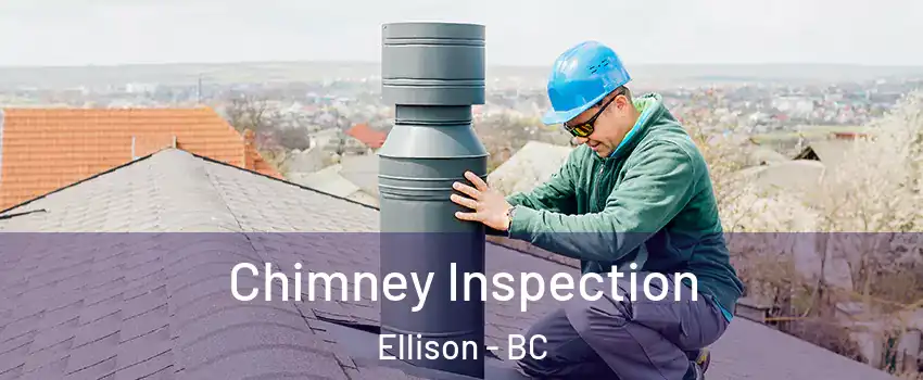  Chimney Inspection Ellison - BC