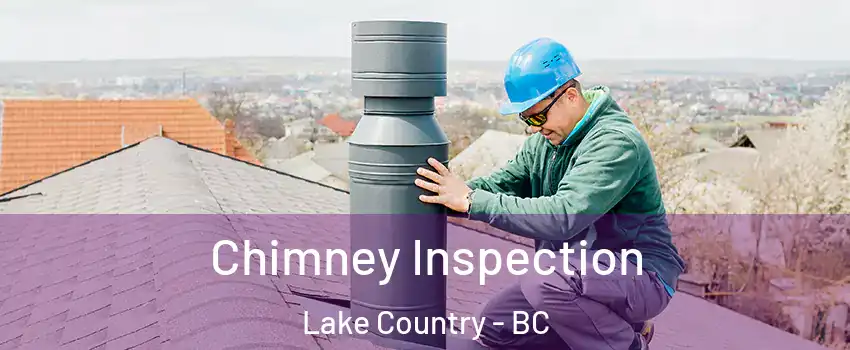  Chimney Inspection Lake Country - BC