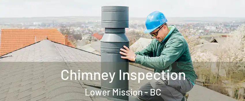  Chimney Inspection Lower Mission - BC