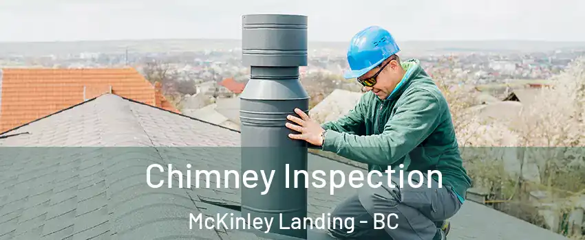  Chimney Inspection McKinley Landing - BC