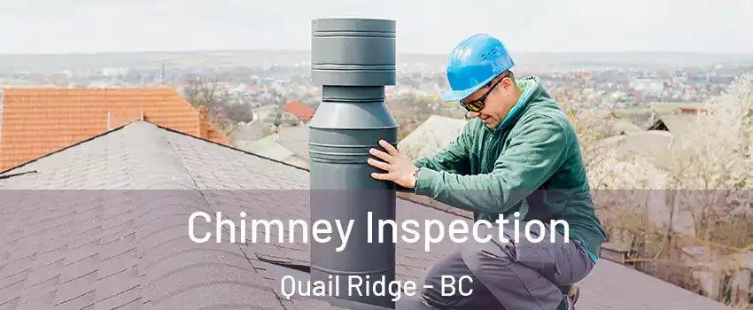  Chimney Inspection Quail Ridge - BC