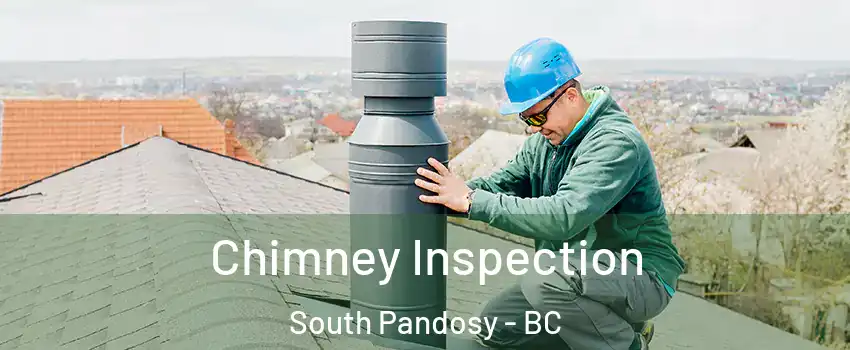  Chimney Inspection South Pandosy - BC