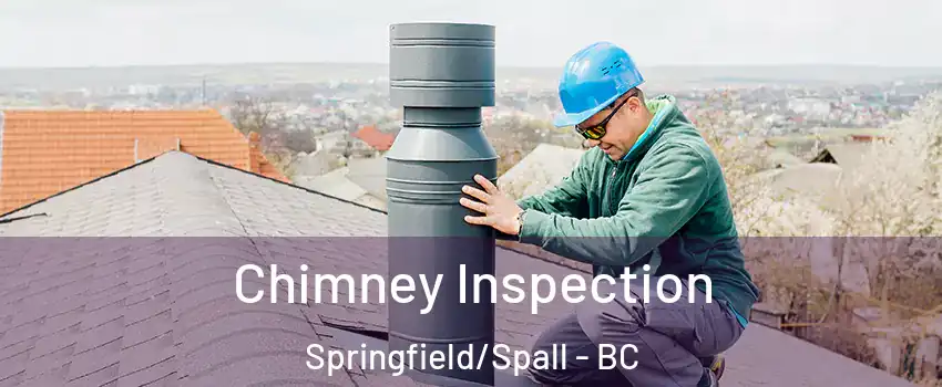  Chimney Inspection Springfield/Spall - BC