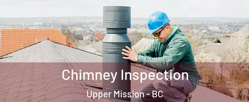 Chimney Inspection Upper Mission - BC
