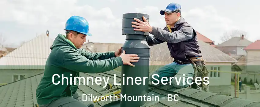  Chimney Liner Services Dilworth Mountain - BC