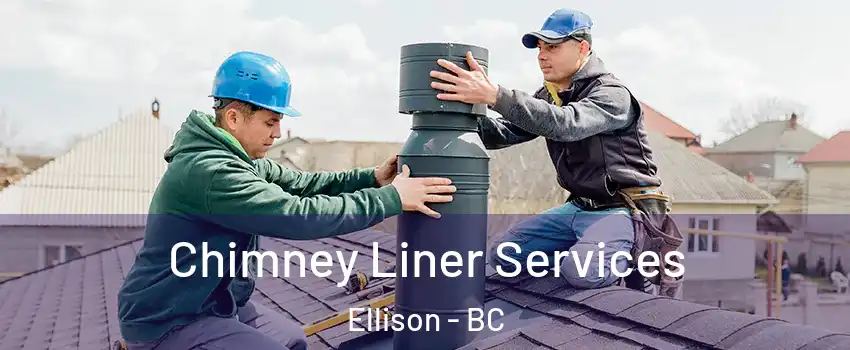  Chimney Liner Services Ellison - BC
