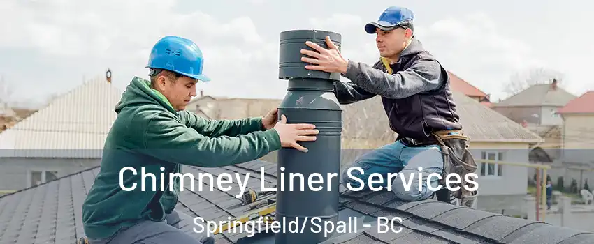  Chimney Liner Services Springfield/Spall - BC