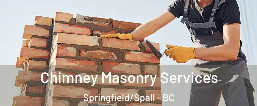  Chimney Masonry Services Springfield/Spall - BC