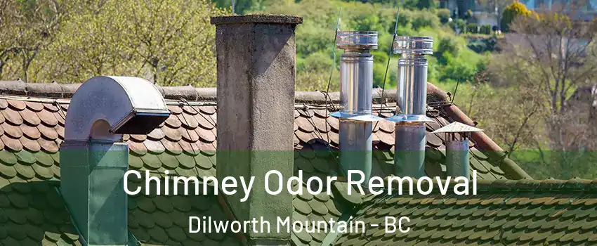  Chimney Odor Removal Dilworth Mountain - BC
