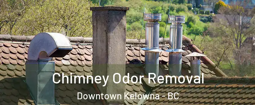  Chimney Odor Removal Downtown Kelowna - BC